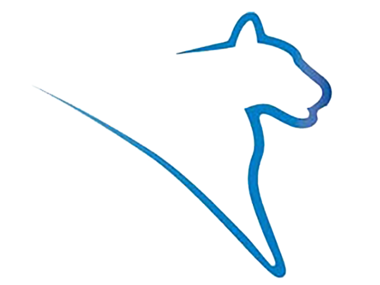 Lion path logo